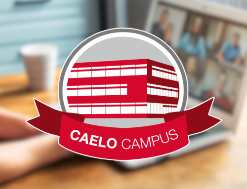 Neue Caelo Webinare im 1. Halbjahr 2026!